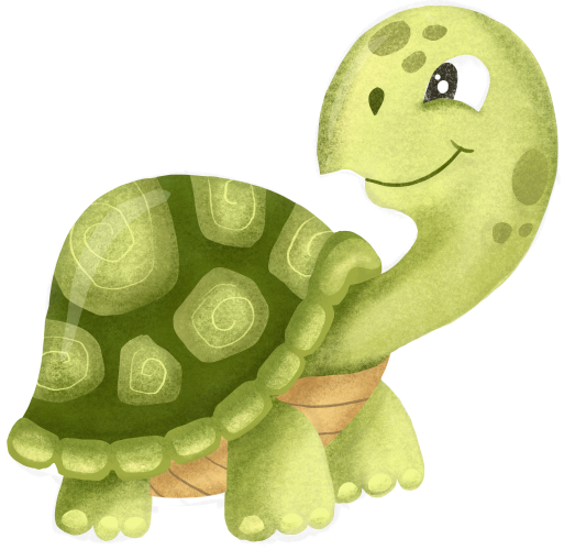 (s102-1-O) Turtle