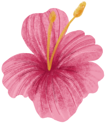 (s102-1-P) Pink Hibiscus