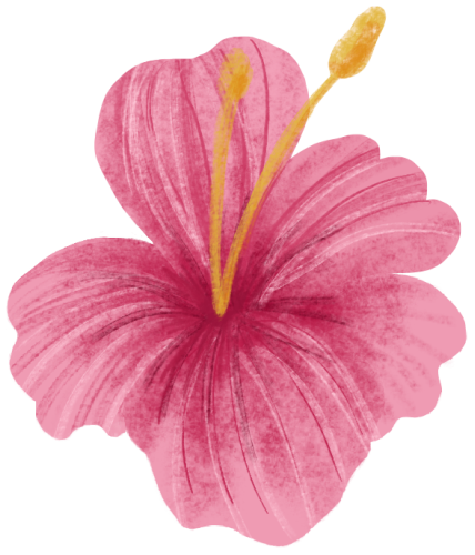 (s102-1-P) Pink Hibiscus