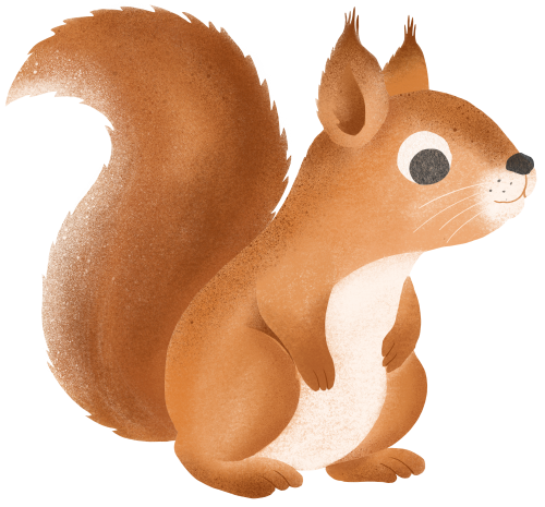 (s102-5-D) Squirrel