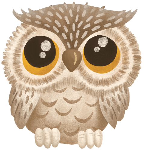 (s102-5-F) Owl