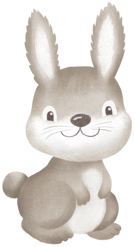 (s102-5-H) Bunny Rabbit