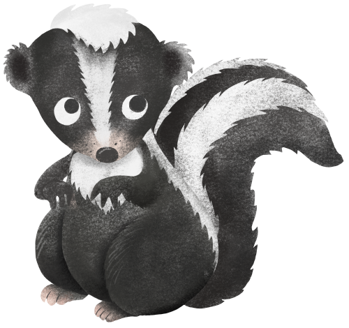 (s102-5-H) Skunk