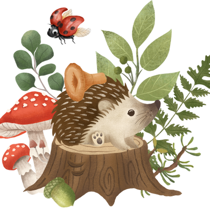 (s102-5-O) Hedgehog