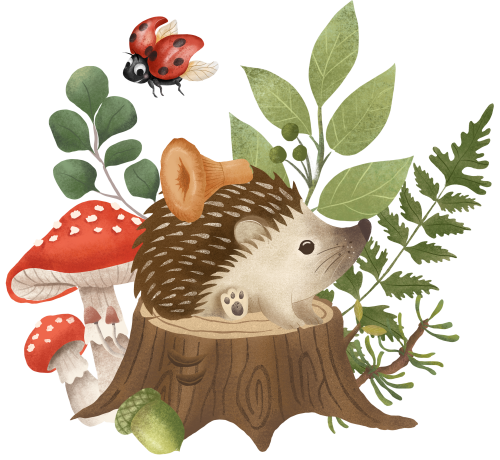 (s102-5-O) Hedgehog