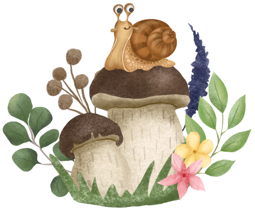 (s102-5-P) Snail