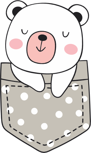 (s107-1-F) Pocket Bear