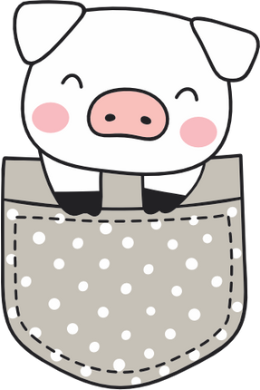 (s107-1-1K) Pocket Pig