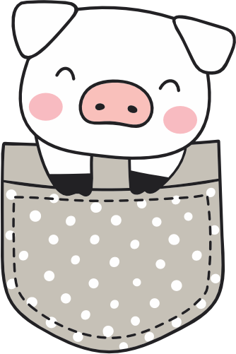 (s107-1-1K) Pocket Pig