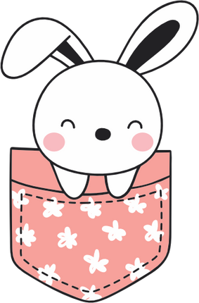 (s107-1-M) Pocket Bunny Rabbit