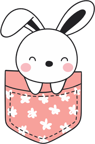 (s107-1-M) Pocket Bunny Rabbit
