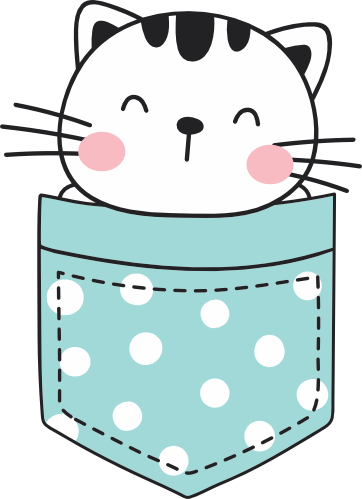 (s107-2A) Pocket Cat