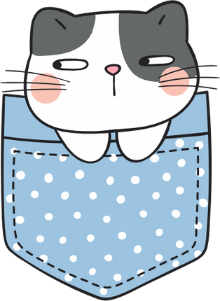 (s107-2D) Pocket Cat