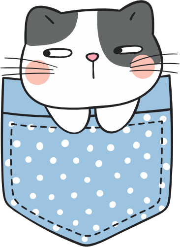 (s107-2D) Pocket Cat