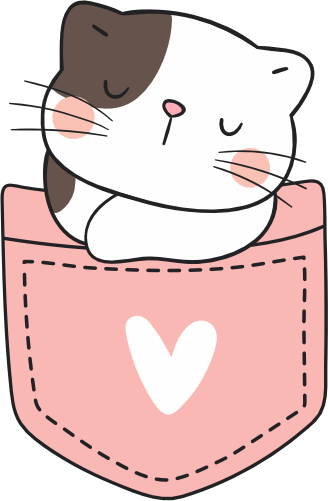 (s107-2E) Pocket Cat