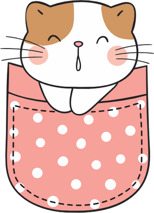 (s107-2F) Pocket Cat