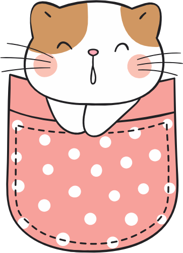 (s107-2F) Pocket Cat