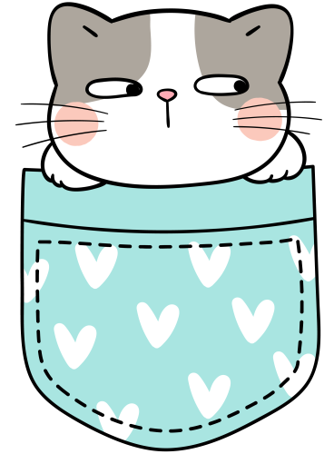 (s107-2H) Pocket Cat