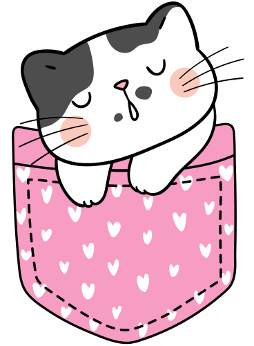 (s107-2M) Pocket Cat