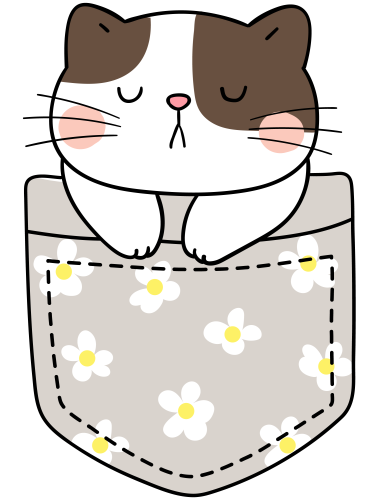 (s107-2O) Pocket Cat