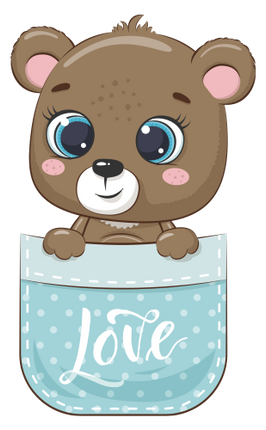 (s107-3-A) Pocket Bear