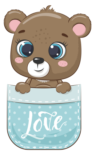 (s107-3-A) Pocket Bear