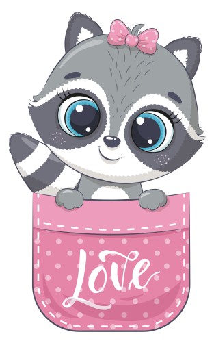 (s107-3-C) Pocket Racoon