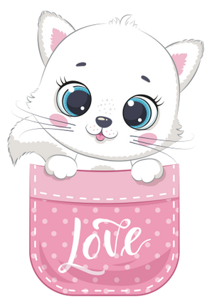 (s107-3-F) Pocket Cat