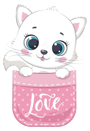 (s107-3-F) Pocket Cat