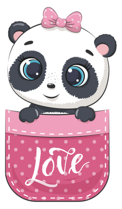 (s107-3-K) Pocket Panda