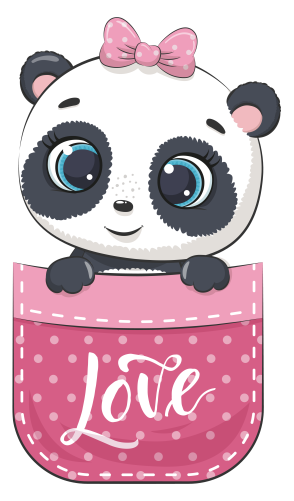 (s107-3-K) Pocket Panda