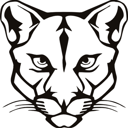 (108-N) Cougar Mascot