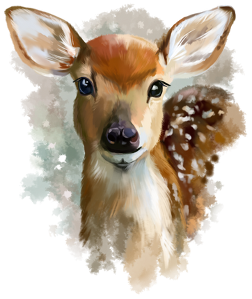(s109-1-C) Deer Fawn