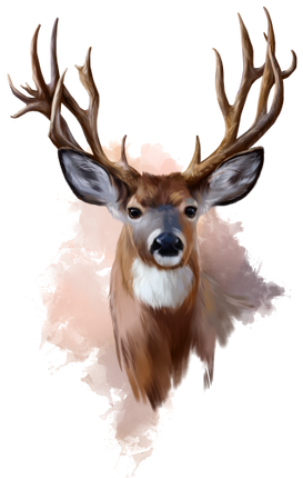 (s109-1-E) Deer Buck