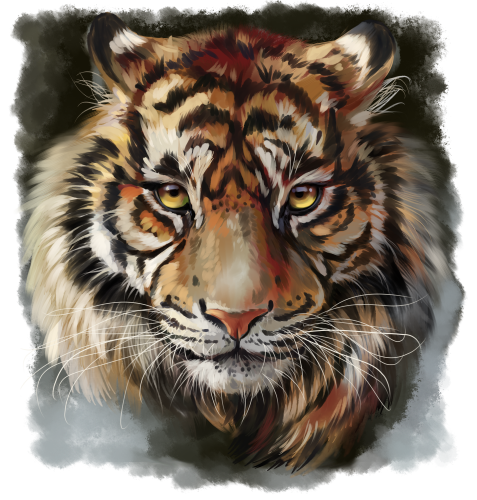 (s109-10-A) Tiger