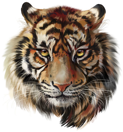 (s109-10-B) Tiger