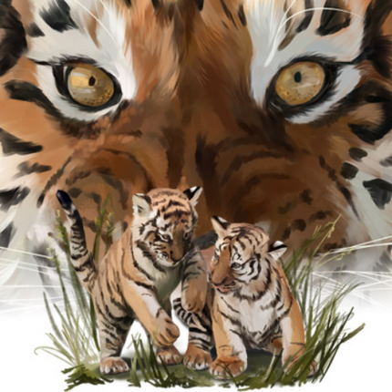 (s109-10-E) Tiger Babies Cubs