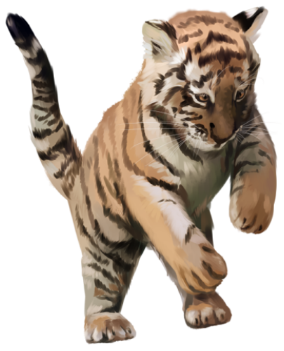 (s109-10-H) Tiger Cub