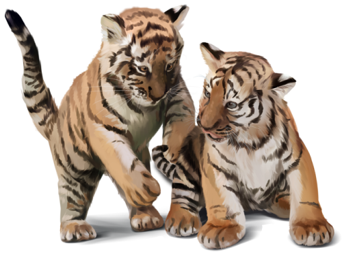 (s109-10-I) Tiger Cubs