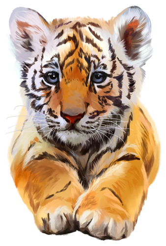 (s109-10-J) Tiger Cub