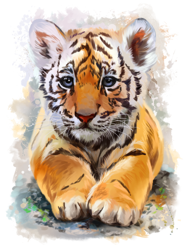 (s109-10-L) Tiger Cub