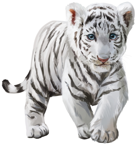 (s109-10-O) Siberian Tiger Cub