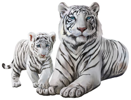 (s109-10-P) Siberian Tiger Mama & Baby Cub
