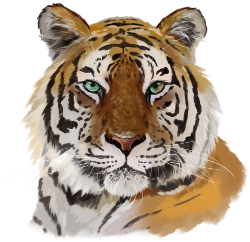 (s109-10-S) Tiger