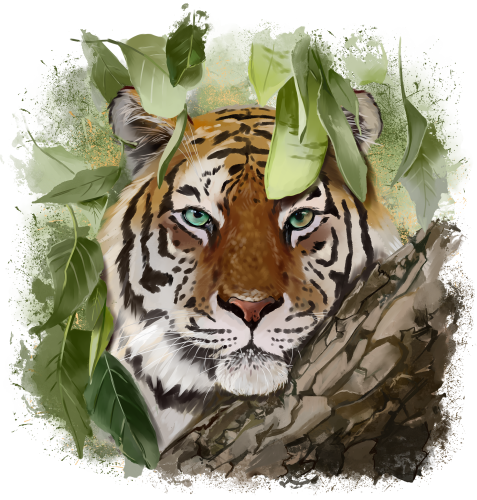(s109-10-T) Tiger