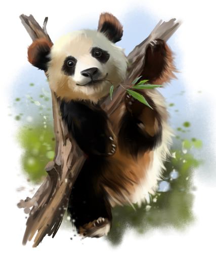 (s109-11-A) Panda