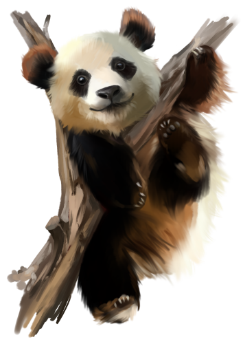 (s109-11-B) Panda