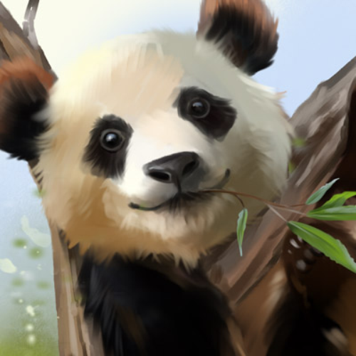 (s109-11-C) Giant Panda