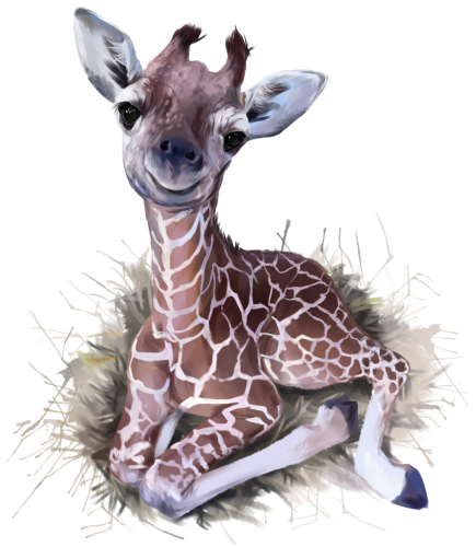(s109-13-A) Baby Giraffe