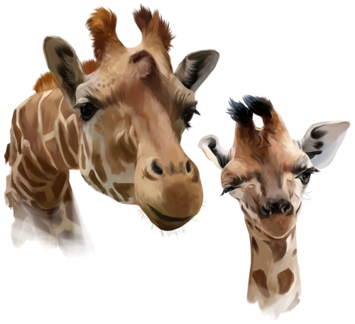 (s109-13-F) Mama & Baby Giraffe